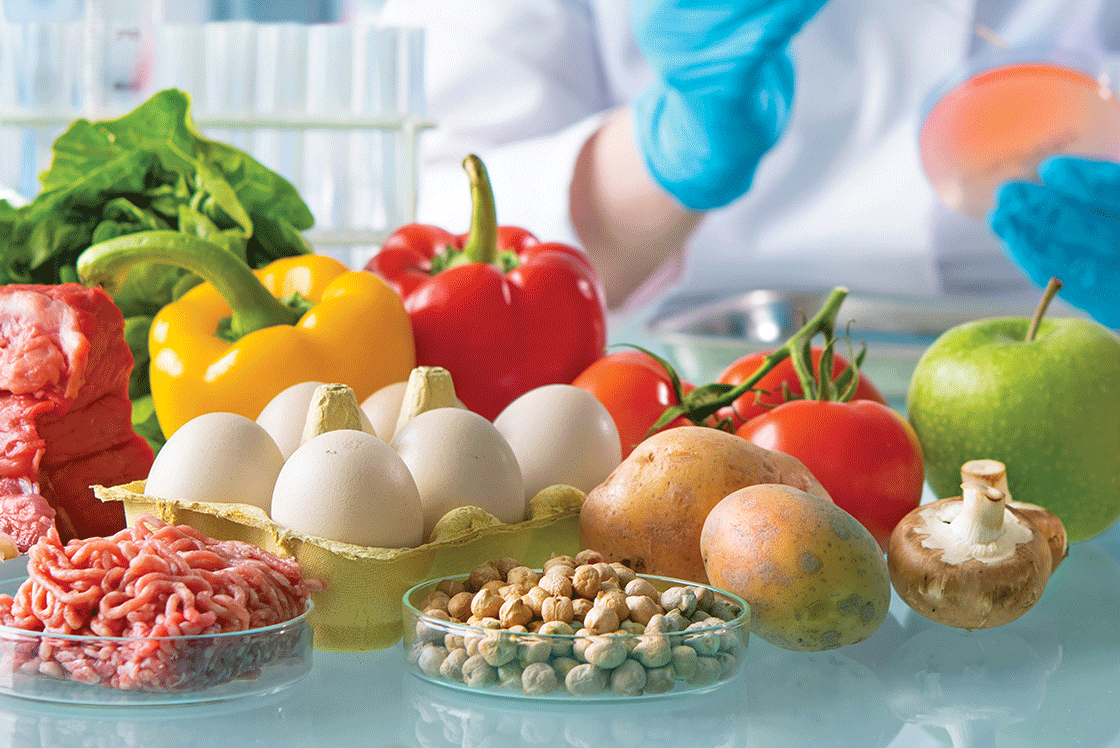 Protezioni Perimetrali Satech - Riparo Industriale in Inox BlueGuard_Materiali per alimenti