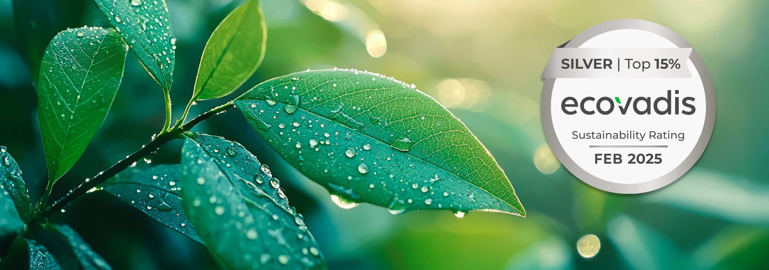 A sinistra, dettaglio di una pianta dalle foglie verdi ricoperte da rugiada. A destra, il logo della medaglia d'argento della certificazione EcoVadis, rinnovata da Satech nel 2025.
